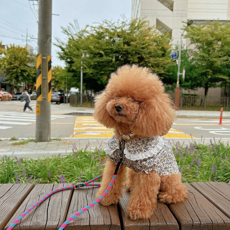 가을이 좋네요