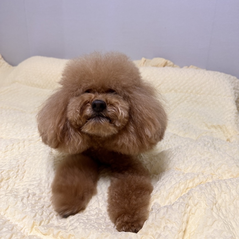 목욕했어요!