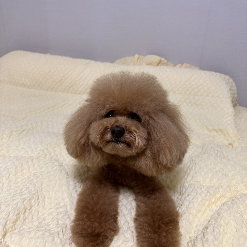 목욕했어요!