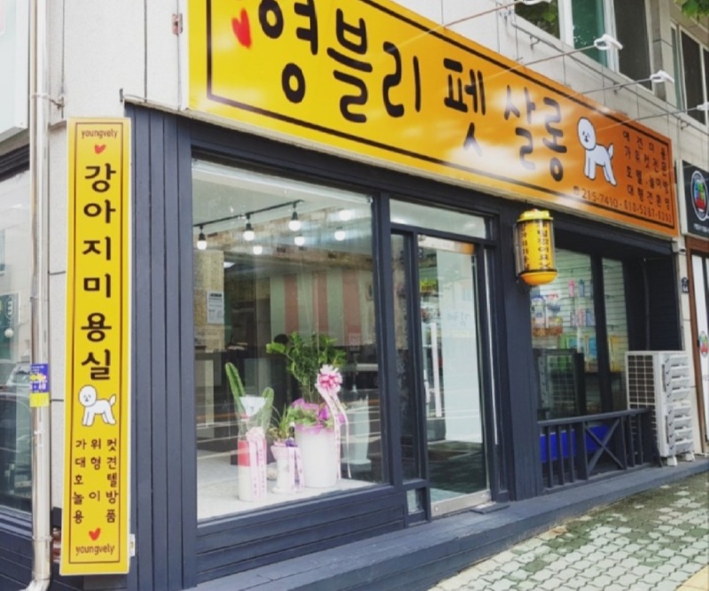 영블리펫살롱 미용