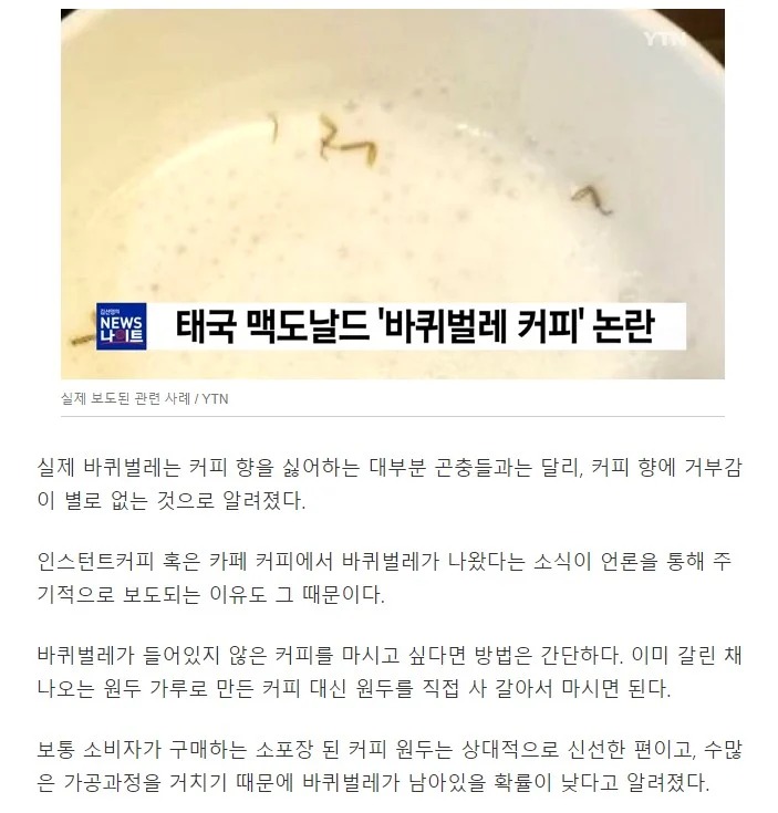 약혐) 우리가 매일 마시는 커피에 벌레가 있을 수 있다??? 