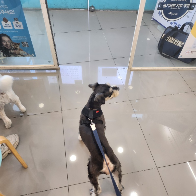 친절한 해맑은동물병원!