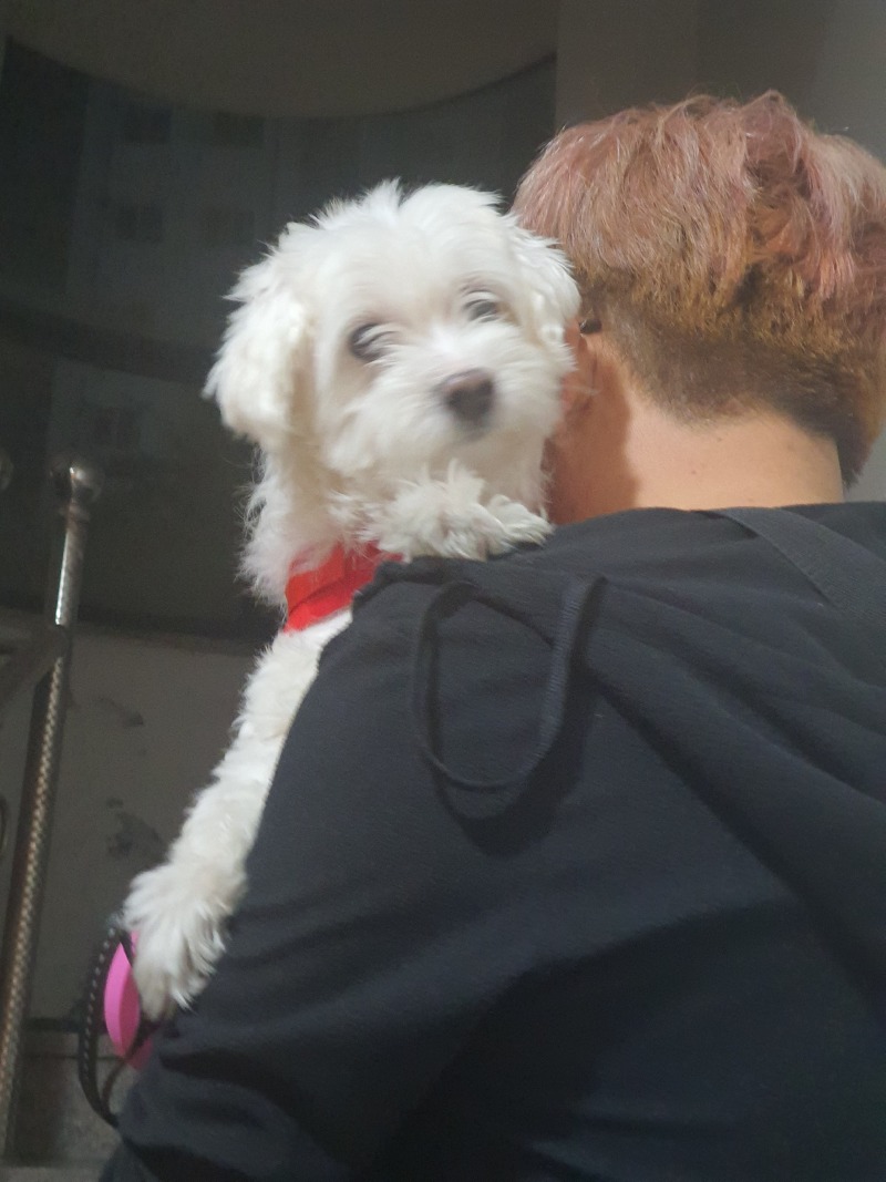 산책 후 안겨가는 둥이