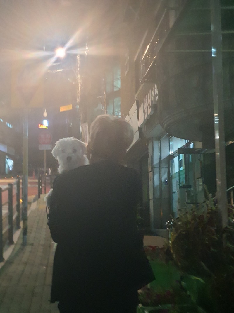산책 후 안겨가는 둥이