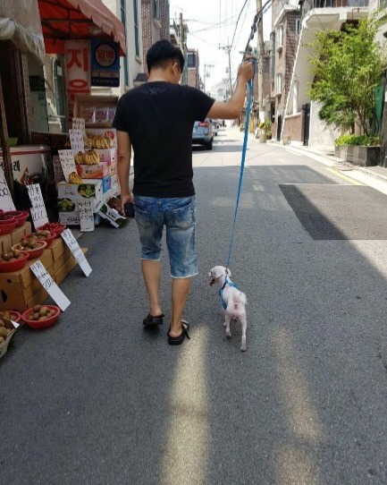 산책이 좋아요