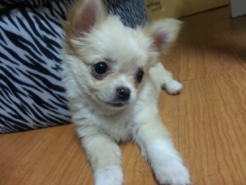 삐삐!!! ㅎㅎ 오늘도 두컷 ㅎㅎ