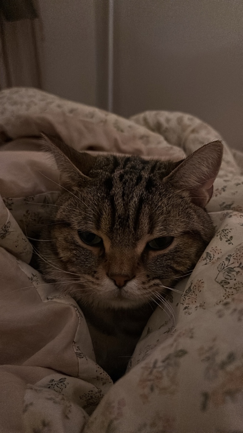89FBD88C-DF21-44A8-96AD-35EC16D1588A.jpeg
