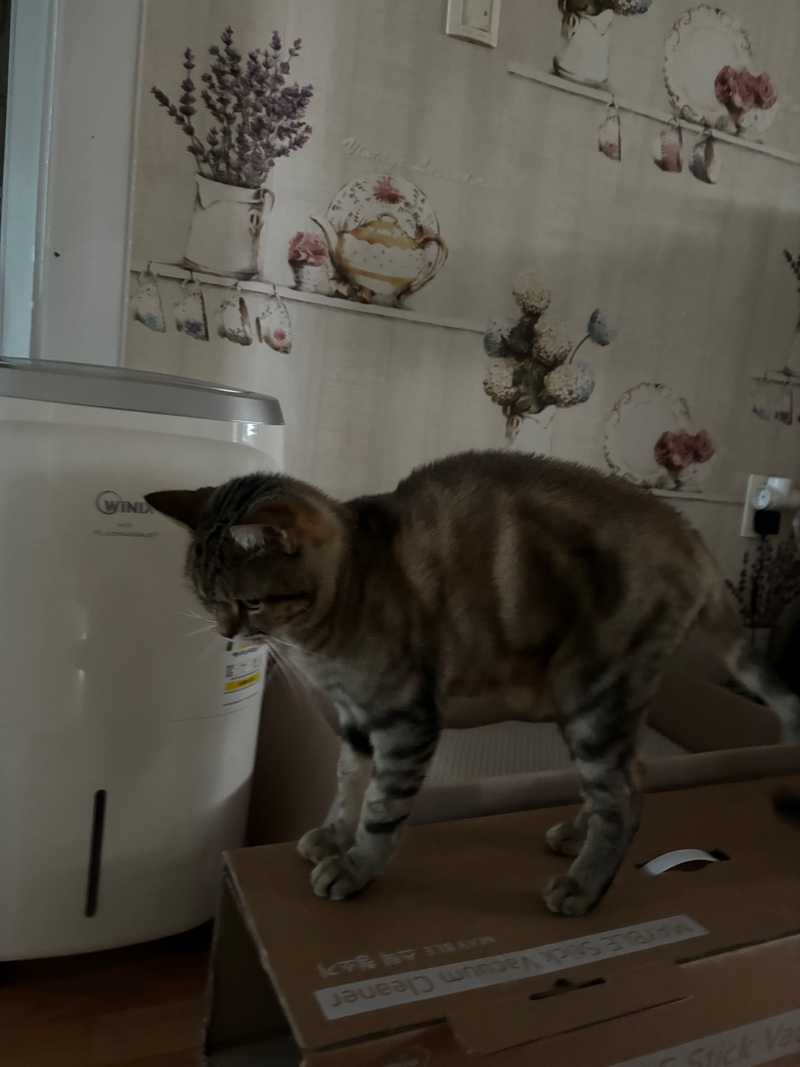IMG_3542.jpeg