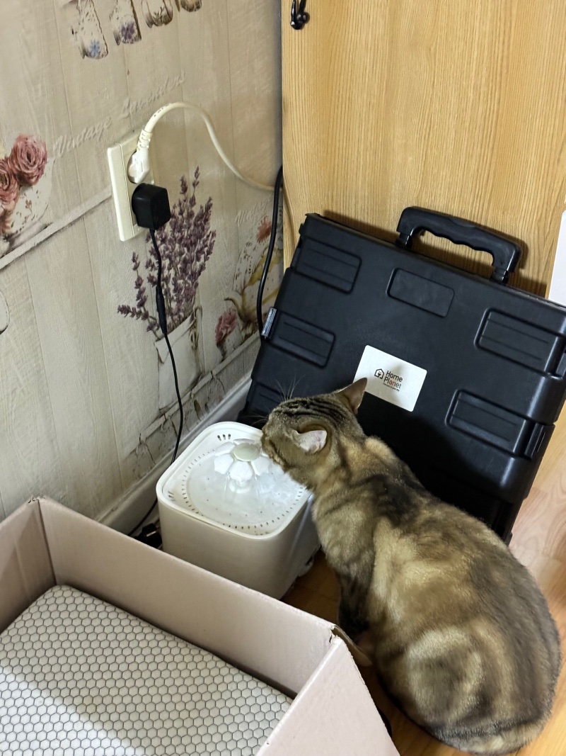 IMG_4132.jpeg