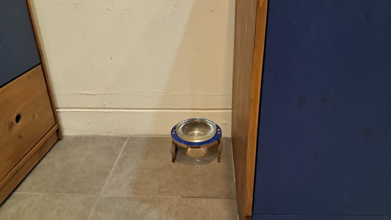 20231130_182142.jpg