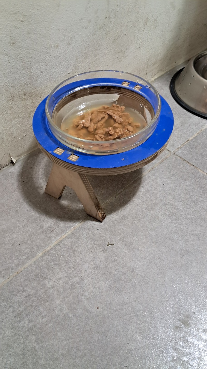20231130_182108.jpg