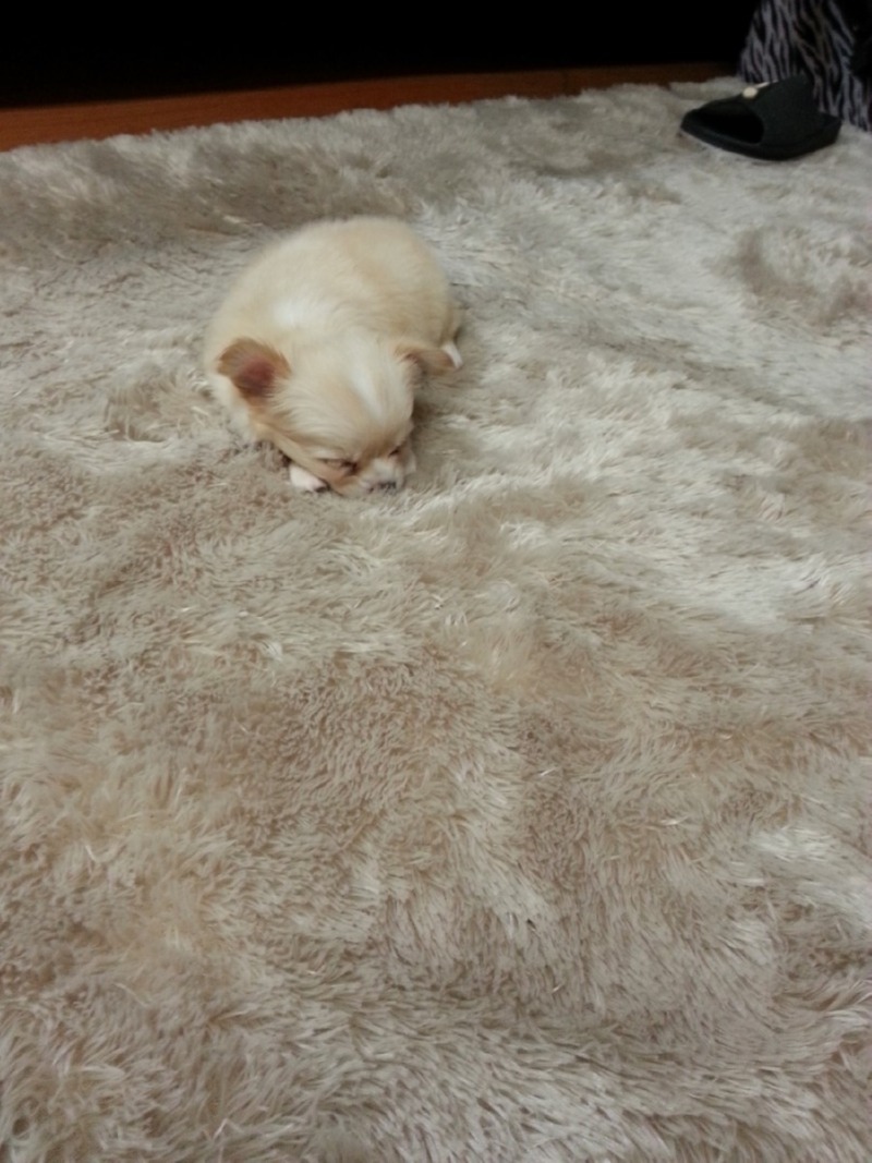 삐삐 2컷 찍어봤어요