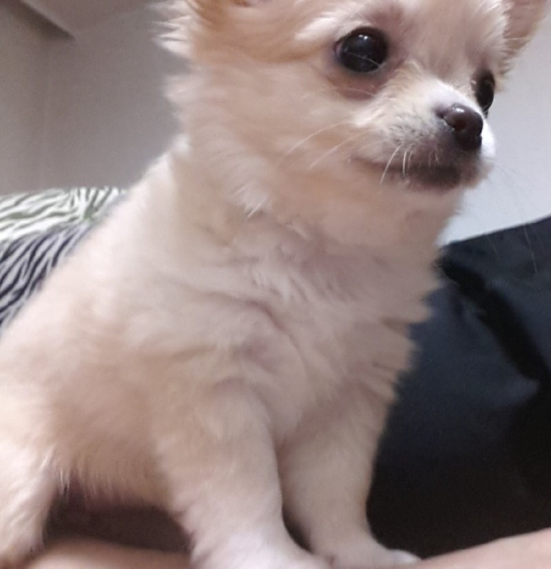 추워서 이불속에서 ㅎㅎ