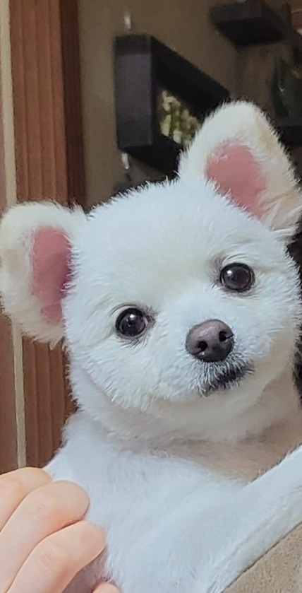 미용한 기념ㅎㅎ