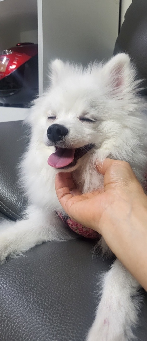 우리 슈기에요~