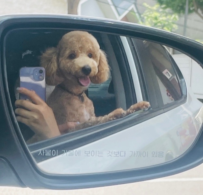 초코초코초코