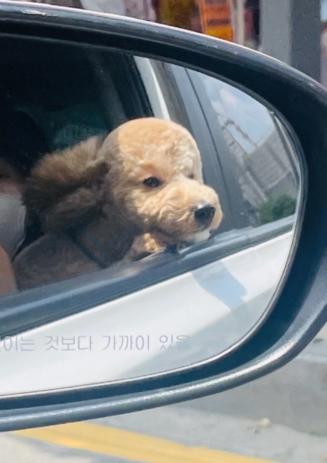 초코초코초코