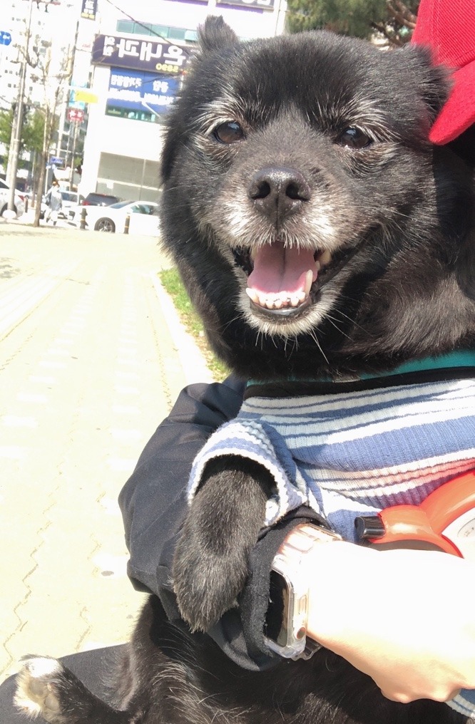 깜순이에오 ㅇ.ㅇ