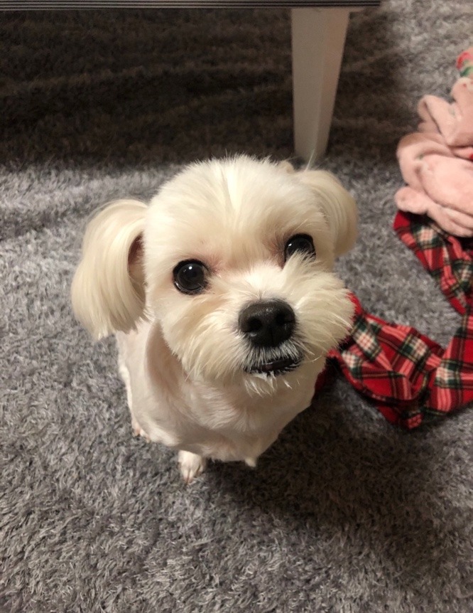화보촬영하는 슈