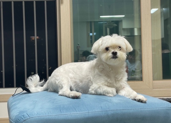 화보촬영하는 슈