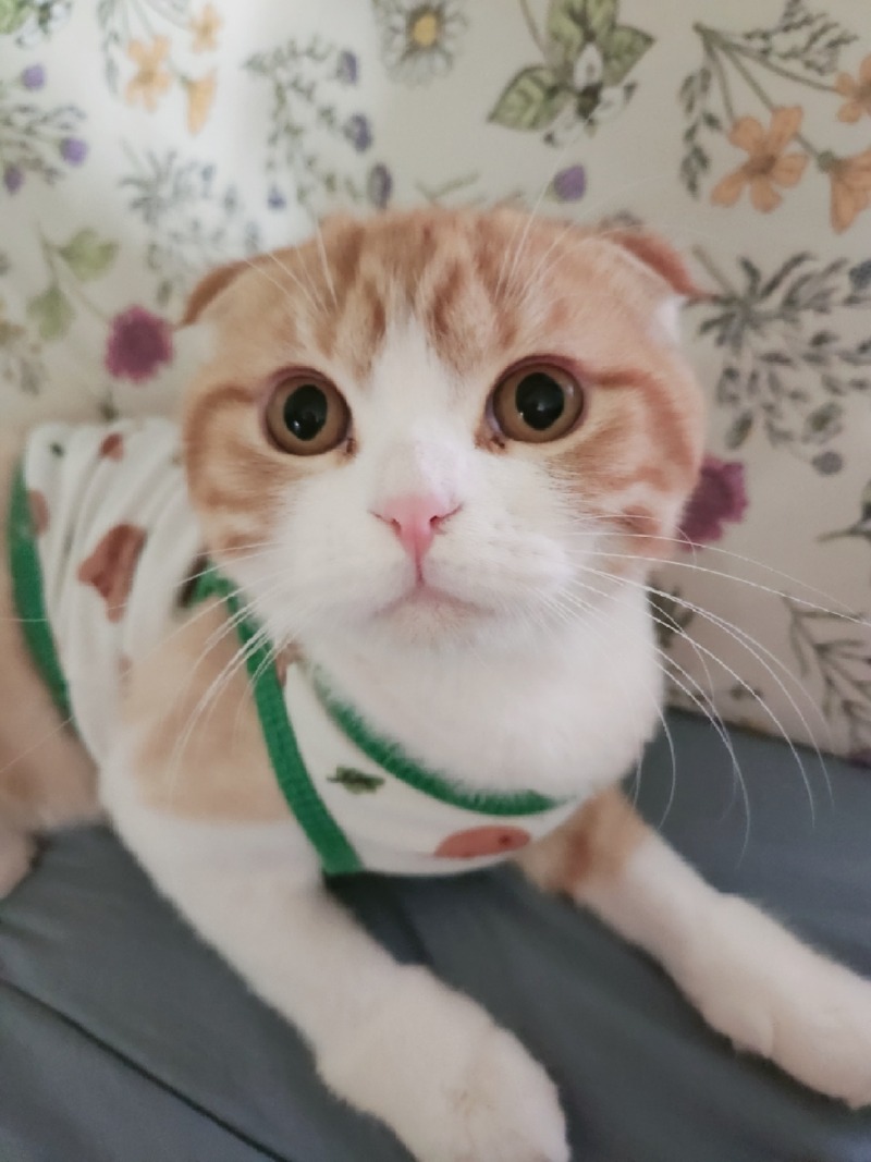 우리똥글이