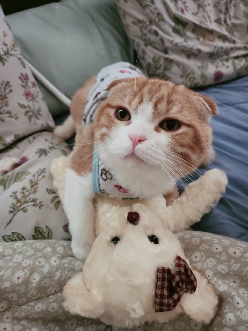 우리똥글이