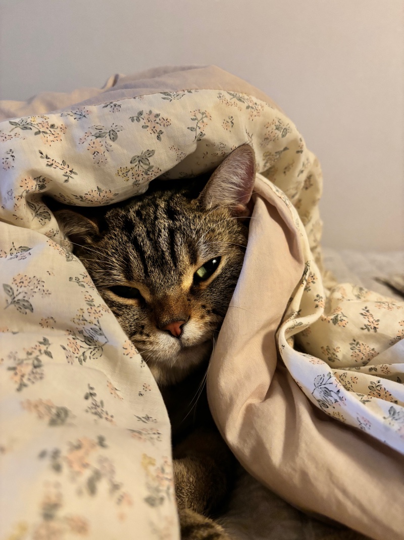 IMG_4684.jpeg
