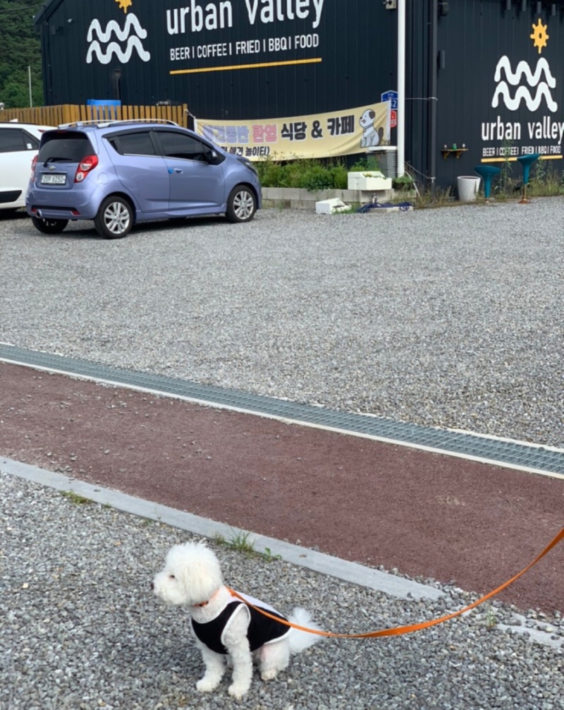 어반밸리 애견카페에 다녀왔었어용 ㅎㅎ
