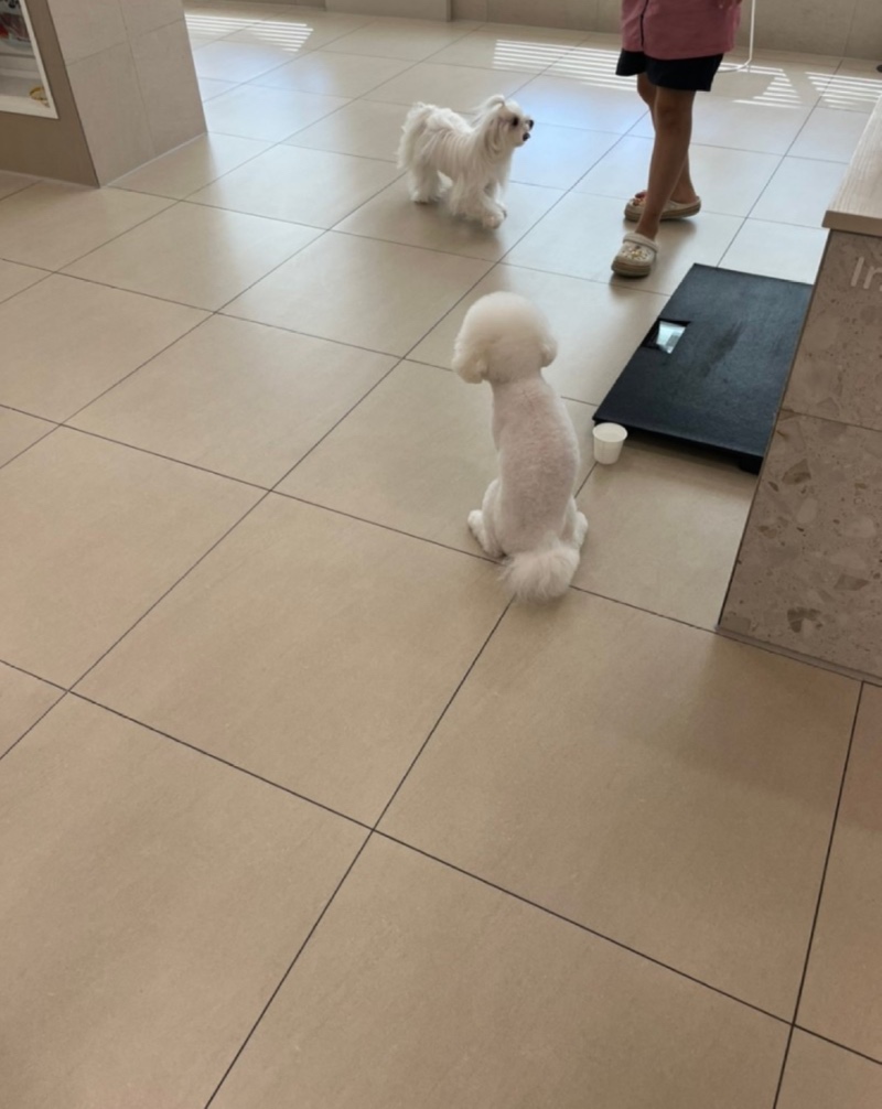 남양주에 병원 다녀왔었습니다
