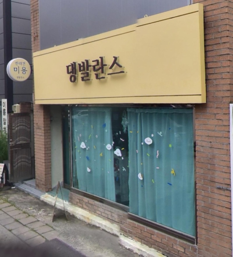 댕발란스에서 미용했어요!