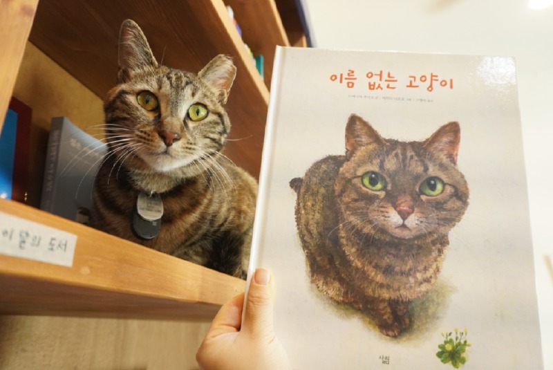 넘나 똑같죠?