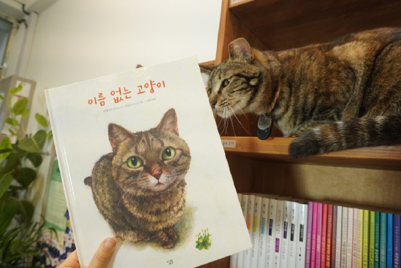넘나 똑같죠?