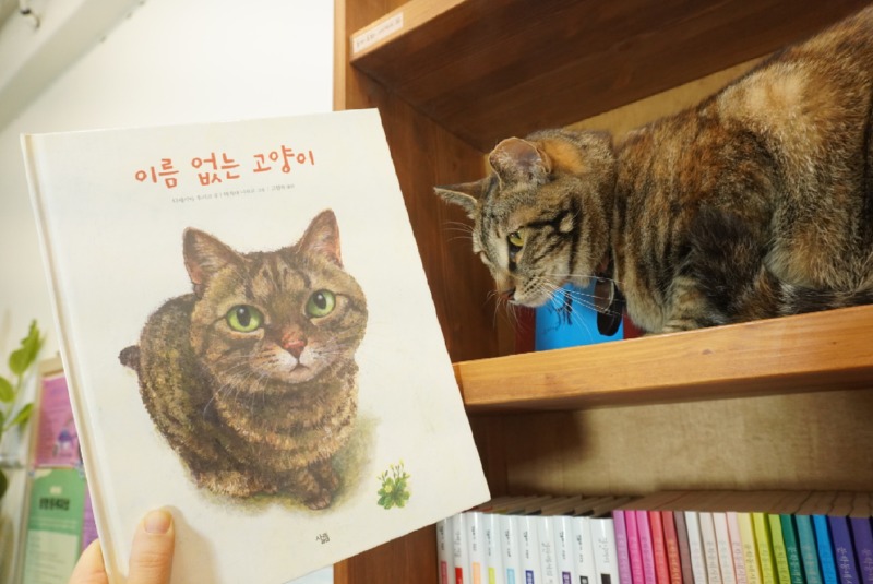 넘나 똑같죠?