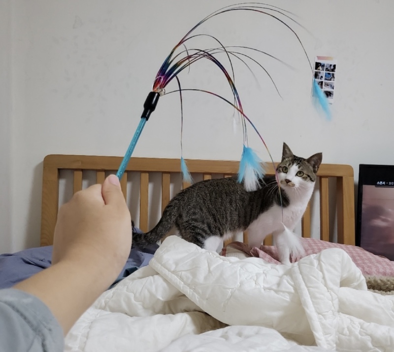 0407CB04-ED8B-4CC2-9906-6734D1E479A9.jpeg