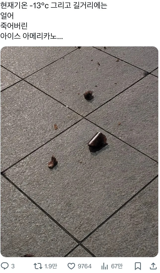 얼죽아의 최후..