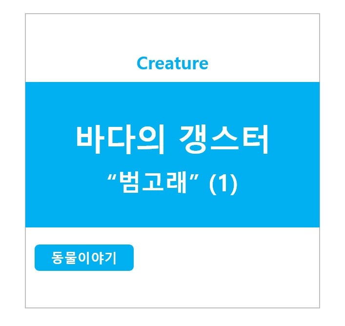 범고래썸넬.jpg