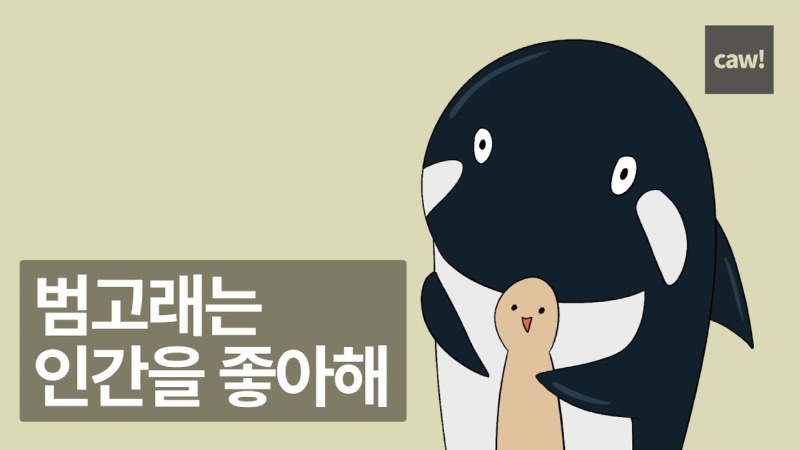 바다의 갱스터 - 범고래(2)