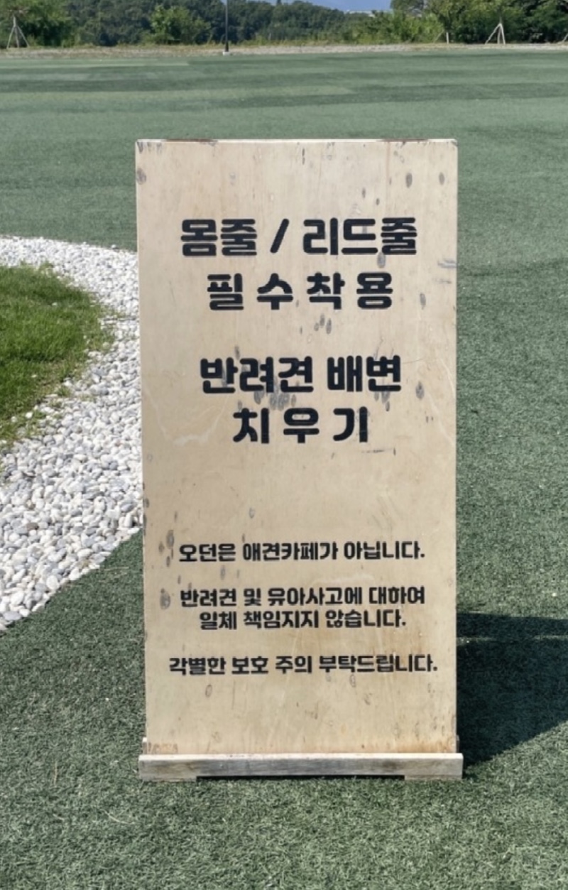 엄청넓은 인조잔디 애견카페