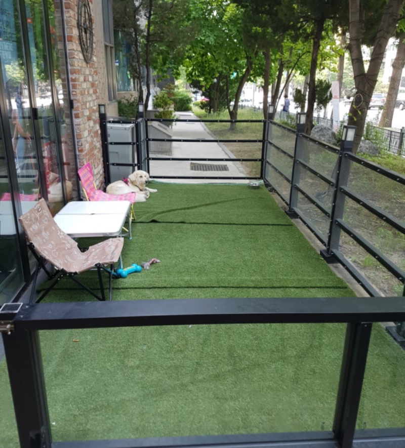 강남에 위치한 빈스 애견호텔