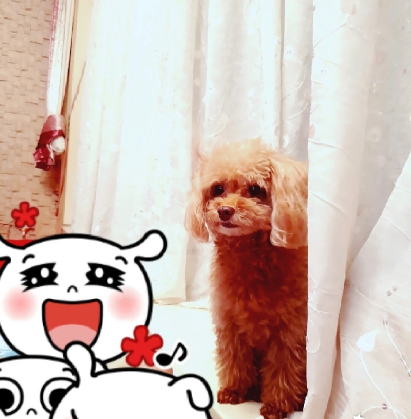 Screenshot_20220630-190703_KakaoTalk.jpg