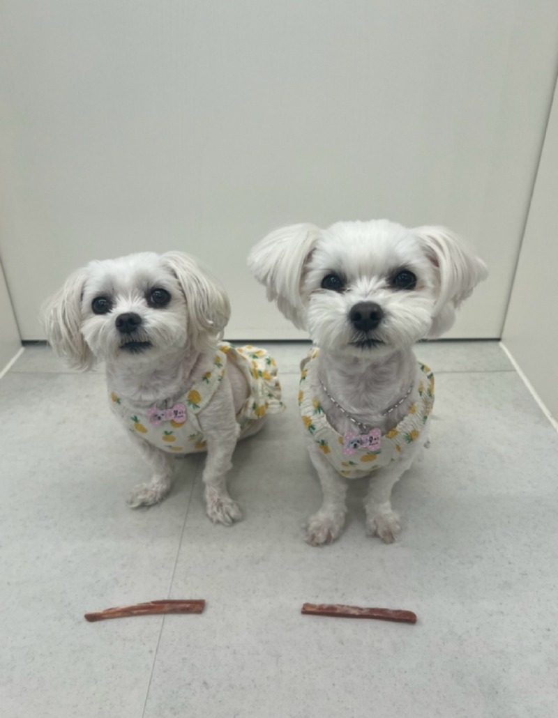 KakaoTalk_20240220_182138642_03.jpg