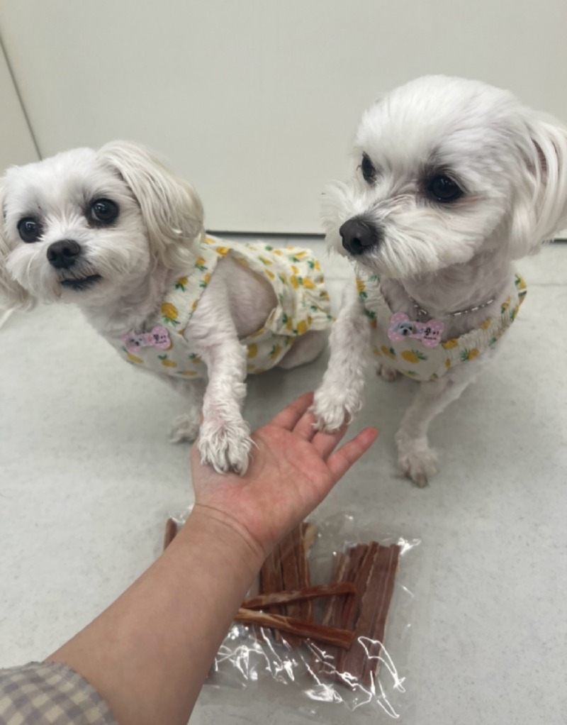 KakaoTalk_20240220_182138642_02.jpg