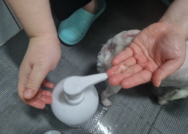 KakaoTalk_20240220_182545702_02.jpg