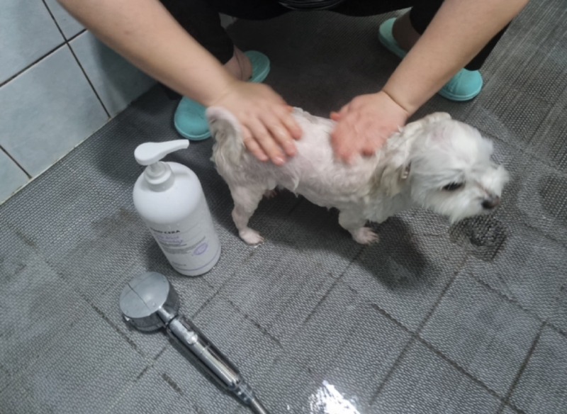 KakaoTalk_20240220_182545702_03.jpg