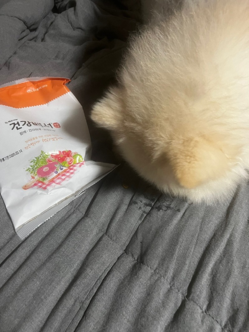 KakaoTalk_20240220_214458238_01.jpg