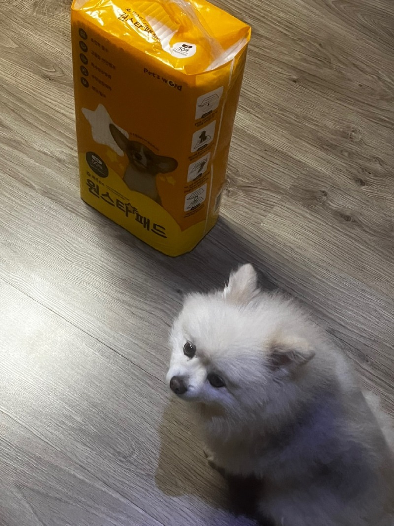 KakaoTalk_20240220_214502870_01.jpg