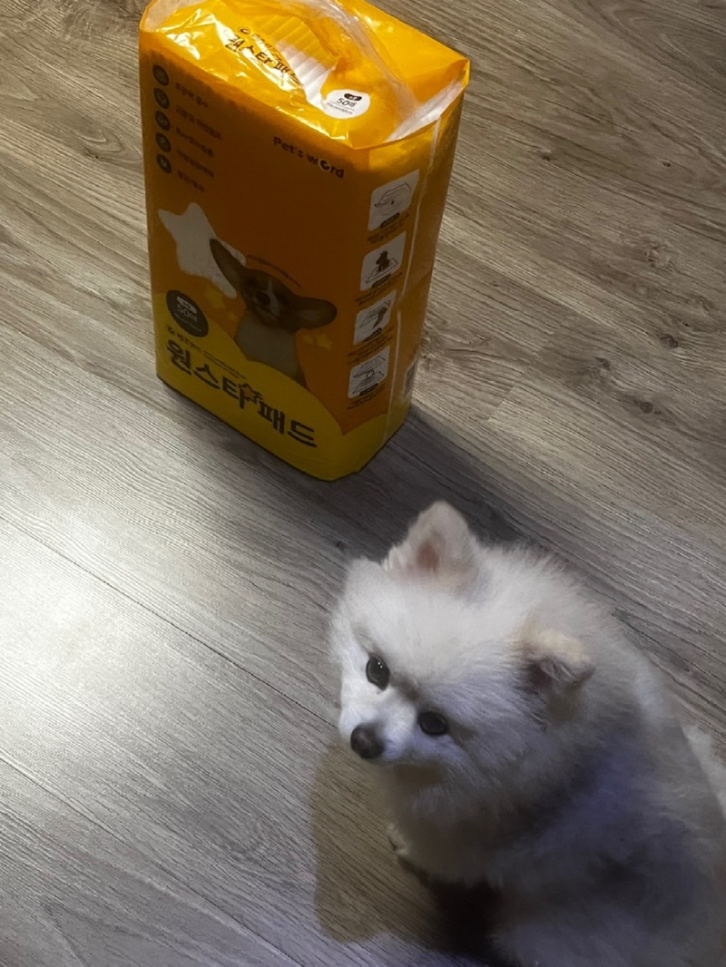 KakaoTalk_20240220_214502870_02.jpg
