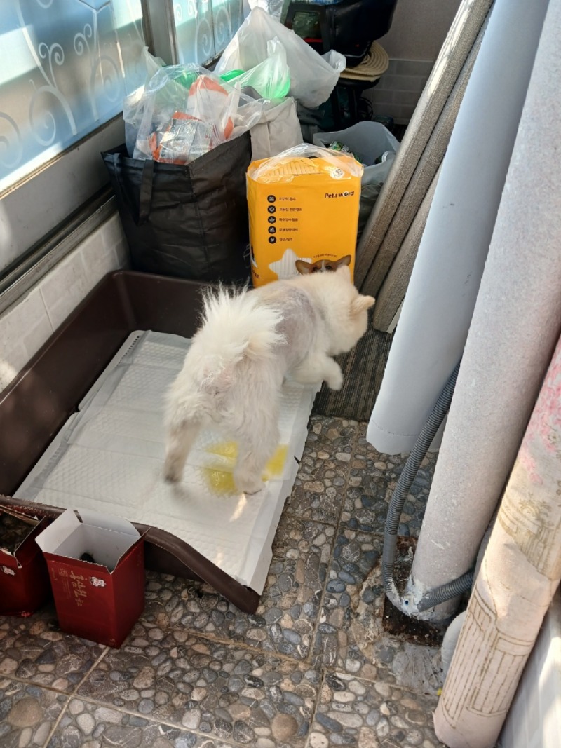 KakaoTalk_20240220_214521122.jpg
