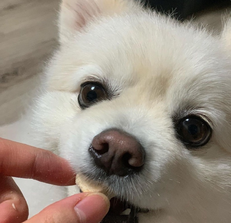 KakaoTalk_20240220_221028431_01.jpg
