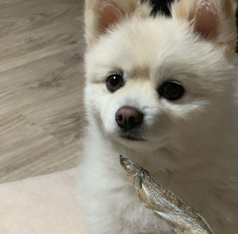 KakaoTalk_20240220_221028431_03.jpg